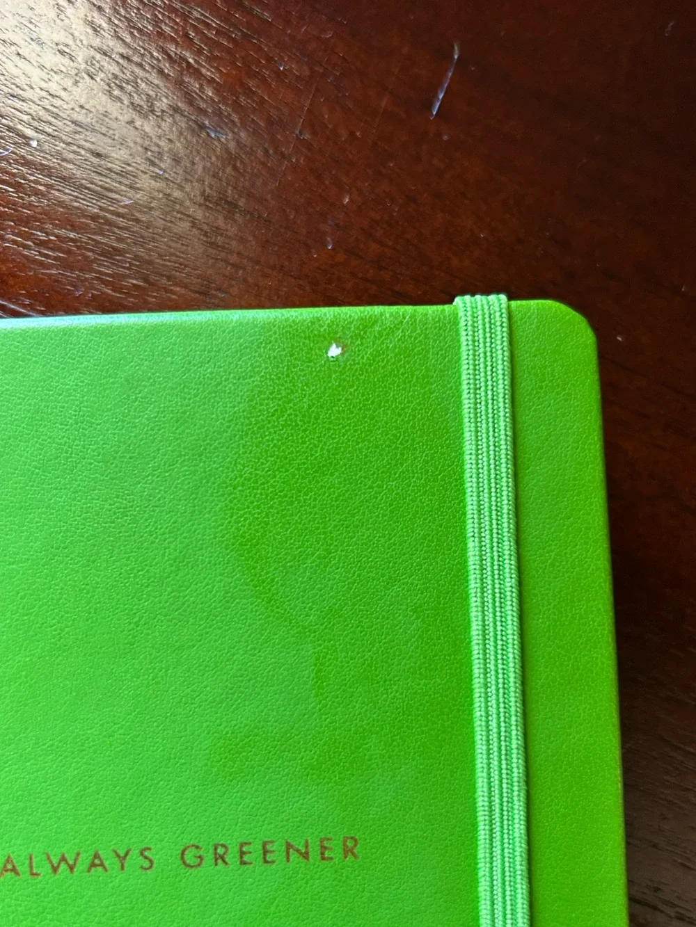 Kate Spade Green Hardcover “The Grass is Always Greener” Notebook